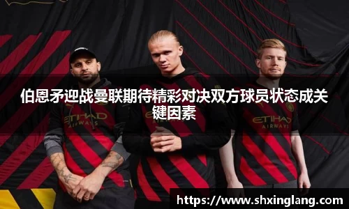 yy易游体育APP